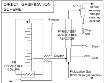 Fig. 6.1: Schema del processo di gasificazione diretta 