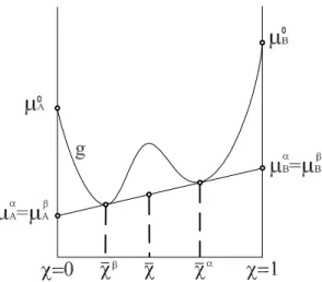 Figure 3. The common tangent construction.