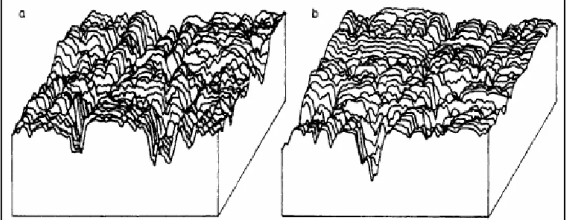 Figura 1-2: Esempio di mappatura isometrica di una superficie soggetta ad usura prima dell’uso  (a)  e dopo un certo  periodo di funzionamento (b) ([5].) 