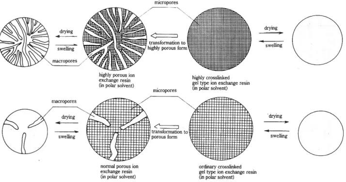 Fig. 2.3.Fenomeni che generano la variazione di volume delle particelle di resina. 