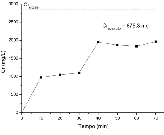 Fig. 4.1.  Curva di adsorbimento relativa alla prova A/R 1 