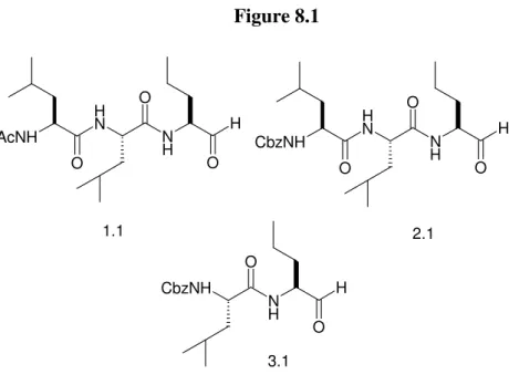 Figure 8.1  AcNH NH N H O O O H CbzNH NH NH O O O H CbzNH N HO O H1.1 2.1 3.1