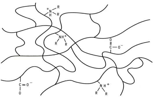 Fig.  2:  Rappresentazione  grafica  della  matrice  del  gel  di  poliacrilammide  con  legati  i  gruppi acidi e basici