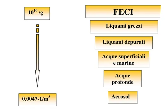 Figura 1.2.2_2: Diluizione della concentrazione virale nelle diverse matrici 