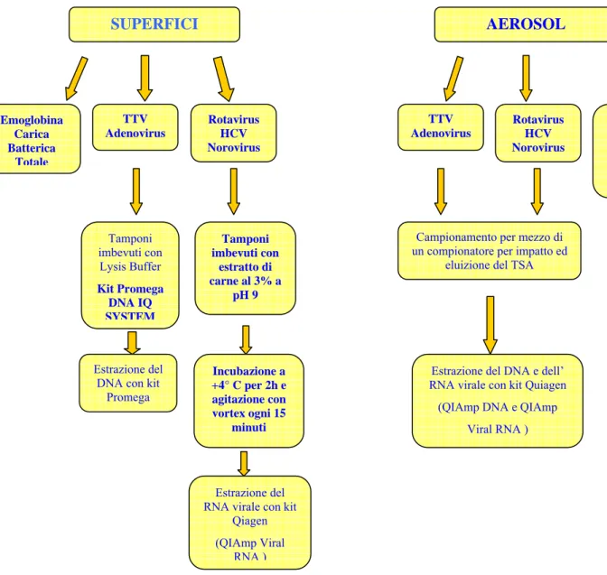 Figura 3.1_1: Schema del monitoraggio ambientale ospedaliero. 