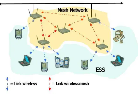 Fig 1.2 Tipica rete wireless mesh  