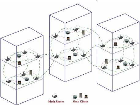 Fig 1.8 Rete mesh di medie dimensioni denominata anche rnterprise networking 