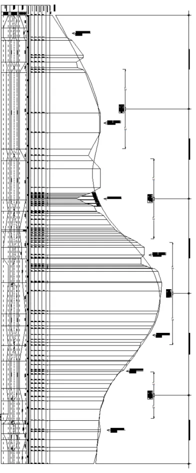 Figura 5.2 : Profilo longitudinale Pomarance