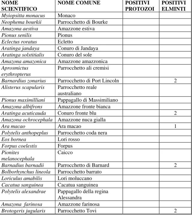 Tabella 3.2 Nome scientifico, nome comune dei pappagalli e numero di positivi agli  artropodi  