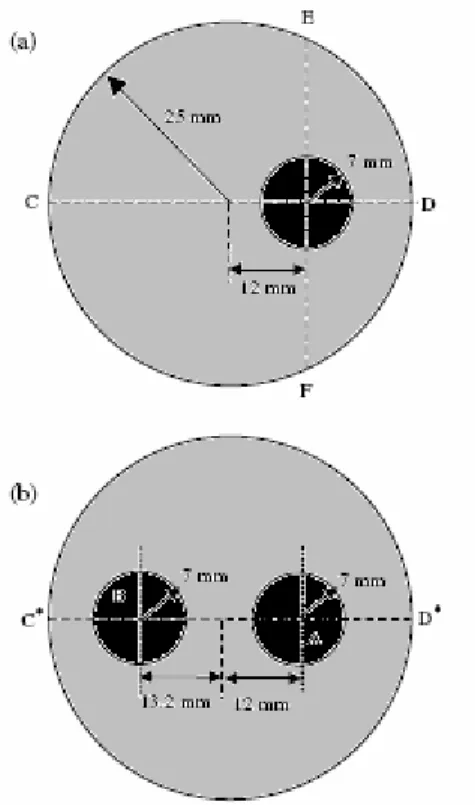 Fig. 2.4  Geometria del fantoccio nel caso di un bersaglio (a) e nel caso di due bersagli (b)