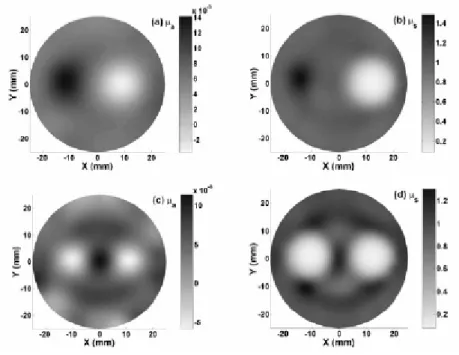 Fig. 2.5 Immagini ricostruite di assorbimento e scattering: (a) immagine di assorbimento per due bersagli (un bersaglio 