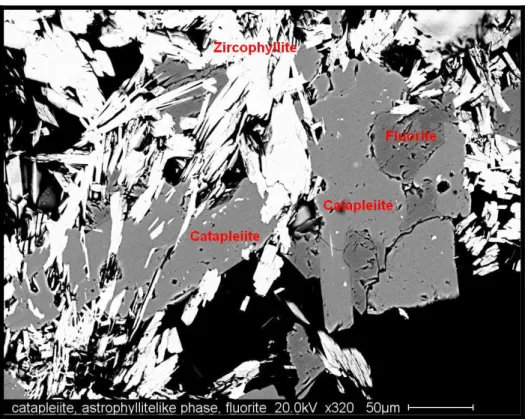 Fig. 8 Immagine BSE della presunta zircophyllite, associata a catapleiite e fluorite.