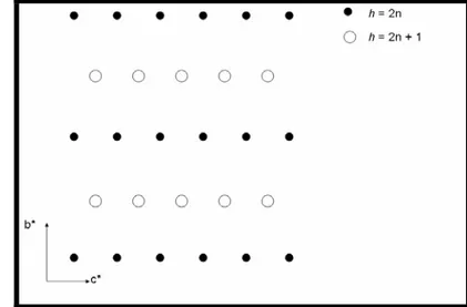 Fig. 58. Pattern di diffrazione della “rinkite anomala”. I vettori b* 