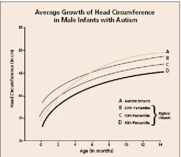Figura 2.4 Sviluppo del cervello nei bambini autistici e nei bambini normali 