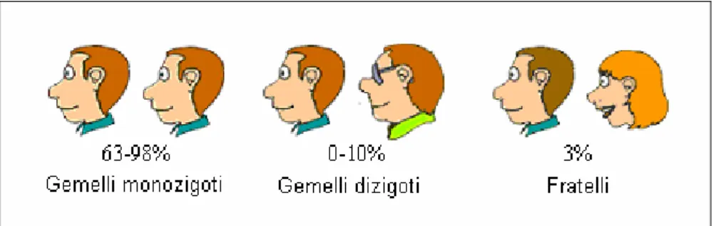 Figura 2.1 Risultati degli studi condotti sui gemelli