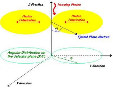 Figura 2.8: Schematizzazione della probabilità di emissione del foto-elettrone (in θ e φ) rispetto alla direzione di di polarizzazione del fotone incidente.