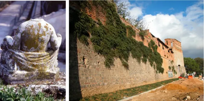 Figura 1.2. Alcuni esempi di “biodeterioramento” dovuto alla vegetazione spontanea. (Da sinistra): licheni presenti  sulla superficie di una antica statua, piante infestanti affrancate su un manufatto storico