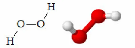 Figura 1.6 Formula di struttura e modello molecolare del perossido d’idrogeno 