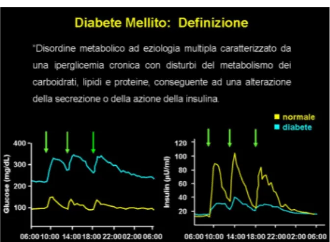 Figura  2  -  Andamento  giornaliero  della  glicemia e dell’insulinemia  in  paziente