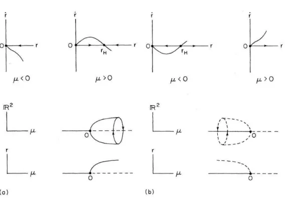 Figura 1.6: Dinami
a radiale e diagramma per una bifor
azione di Hopf (a)