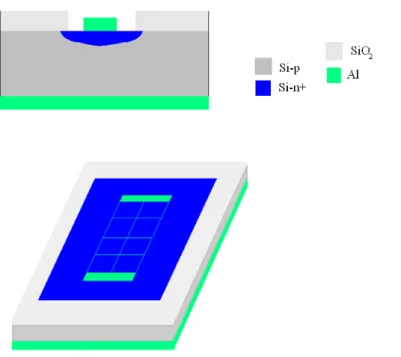 Fig. 4.20:  la figura rappresenta la cella vista in sezione ed in prospettiva. 