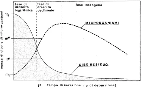 Fig 6.1: Correlazione generale tra il cibo residuo presente nella sospensione del  fango attivo e il metabolismo batterico 
