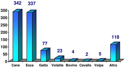 Figura 5. Provenienza dei campioni risultati positivi. 