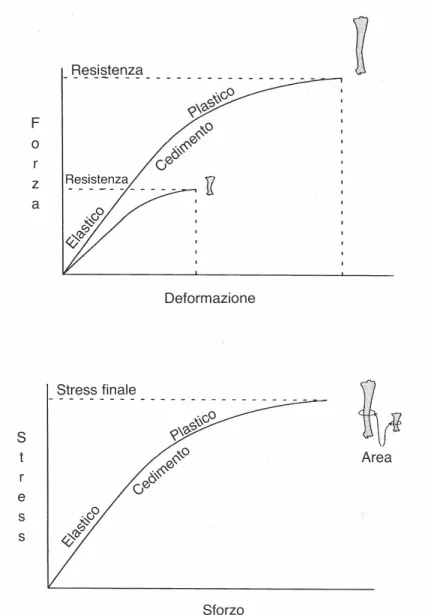 Figura  1.b:  Figura  in  alto:  Curva  forza-deformazione;  Figura  in  basso:Curva  stress-distensione 