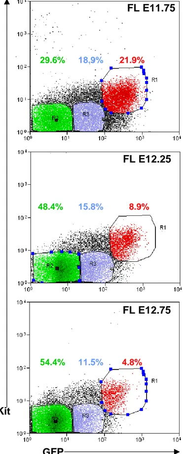 Figure 3. Cytofluorimetric analysis of Kit versus GFP expression in fetal liver at different  developmental stages 