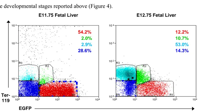 Figure 4. Ter119 versus GFP expression in fetal liver cells. 