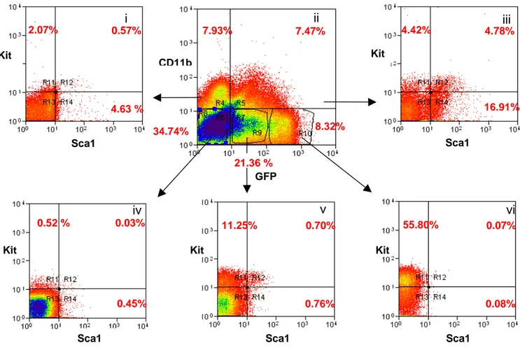 Figure 6. Four colors cytofluorimetric analysis of E12.5 Fetal Liver cells.  