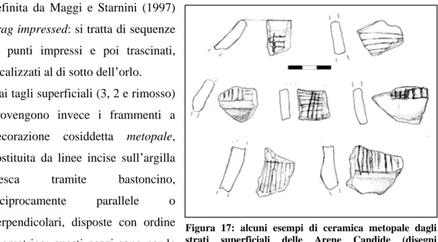 Figura  17:  alcuni  esempi  di  ceramica  metopale  dagli  strati  superficiali  delle  Arene  Candide  (disegni  Chiarenza).