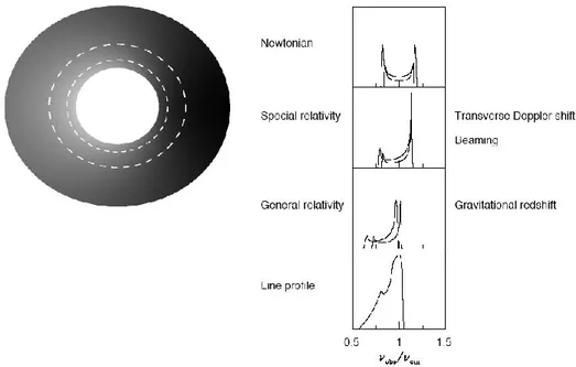 Figura 1.2: Il pannello in alto mostra il profilo a doppio picco simmetrico prodotto dall’emissione di due anelli di materia di un disco non relativistico
