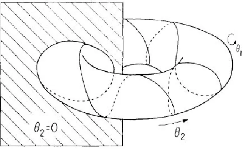 Figura 1.8: Diagramma schematico di un moto a due frequenze su un toro e di una sezione di Poincar` e del moto