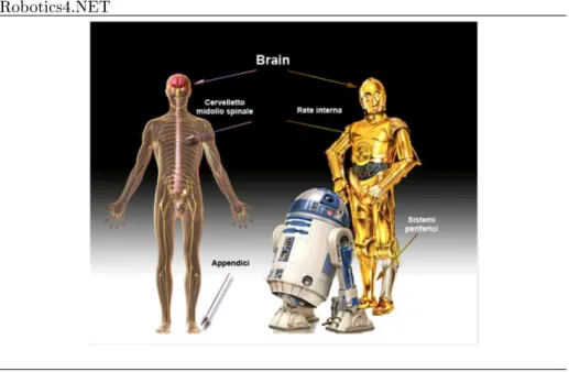 Figura 4.1 Confronto fra sistema nervoso biologi
o ed ar
hitettura