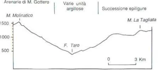 Figura 2 : Profilo vallivo della Val Taro tra M. Molinatico e M. La Tagliata 