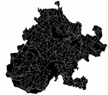 Figura 9: Grid relativo al fattore escludente &#34;rete stradale&#34;