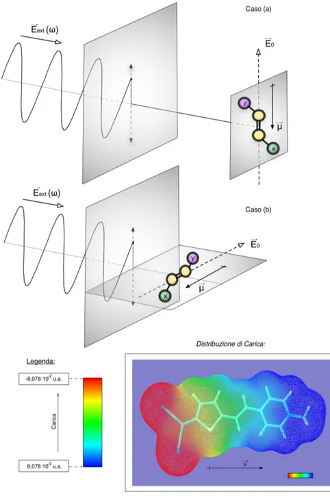 Figura 6. Interazione tra la radiazione ed un sistema molecolare a trasferimento di carica