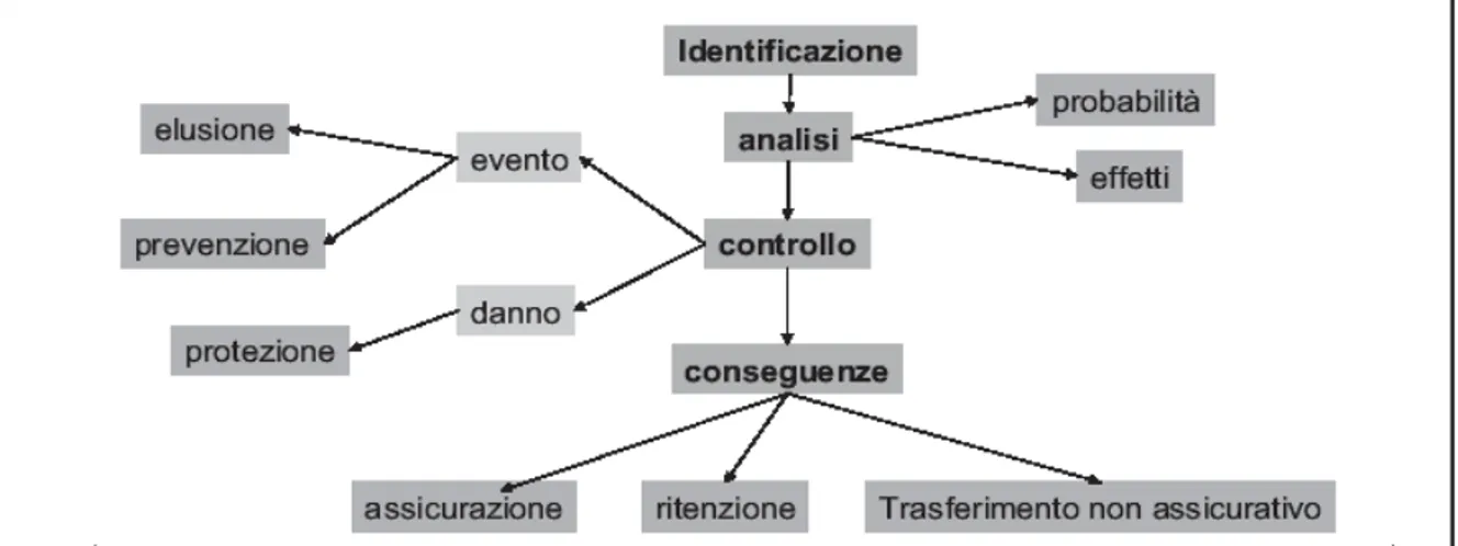 Figura 3:  Il ciclo del RM