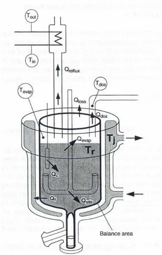 Fig. 2.3: Schematizzazione dei termini dell’equazione di bilancio energetico per un  reattore batch agitato e incamiciato