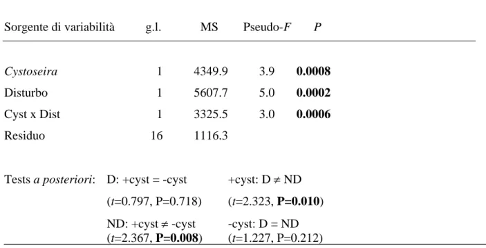 Tab. 3.1. PERMANOVA relativa agli effetti della presenza di C. compressa e del disturbo meccanico sulla  struttura dell’intero popolamento alla prima data (T1) di campionamento