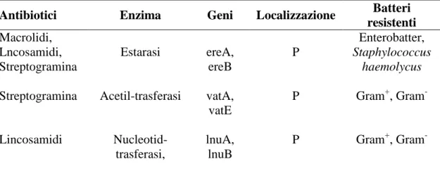 Tabella 4. Esempi di antibiotico-resistenze causate dall’inattivazione enzimatica.