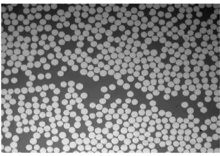 Figura 6.3: Immagine digitale convertita in scala di grigi con illuminazione non uniforme