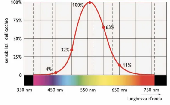 Fig. 4.5 – curva di sensibilità spettrale dell’occhio umano 