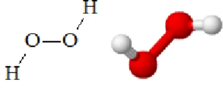 Figura 2.1 Formula di struttura e modello molecolare del perossido di idrogeno 