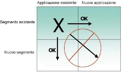 Figura 35 - Strategia di penetrazione del mercato di nicchia (Biometrics, 2002) 