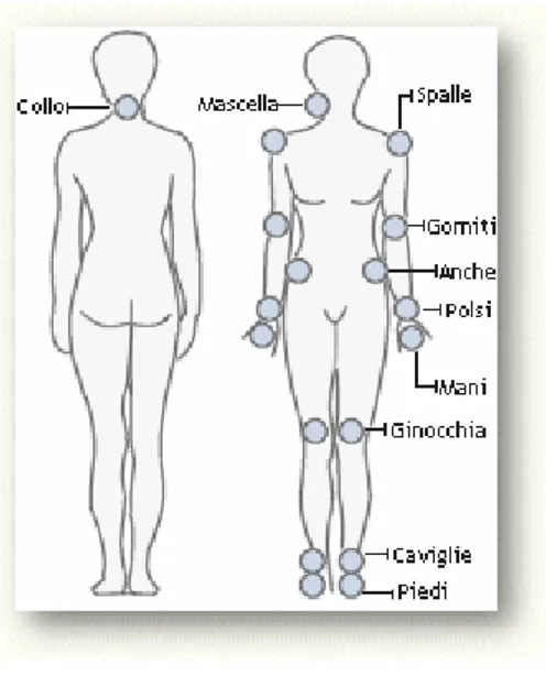 Figura 7:indici articolari