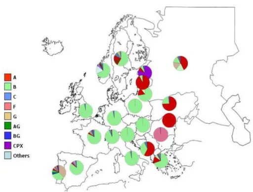 Figura I.1. Distribuzione dei sottotipi di HIV-1 in Europa 