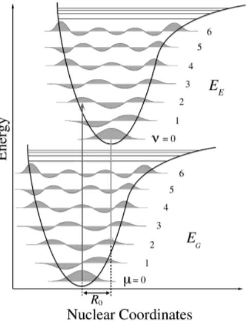 Figura 2.1. Transizioni elettroniche tra due superfici di poten- poten-ziale adiabatiche traslate
