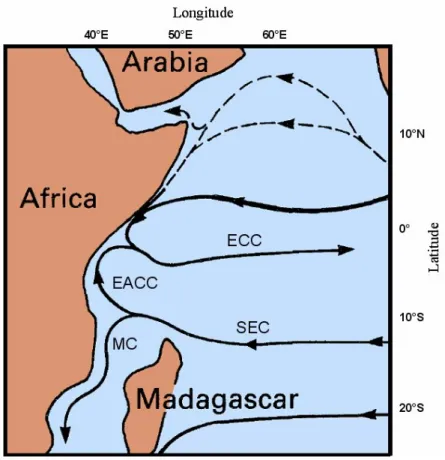Figura 2.3: Schema della circolazione superficiale dell'oceano Indiano equatoriale nel periodo estivo 